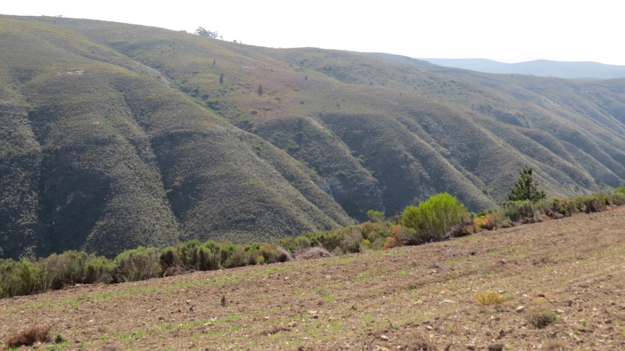 Commercial Property for Sale in Swellendam Rural Western Cape